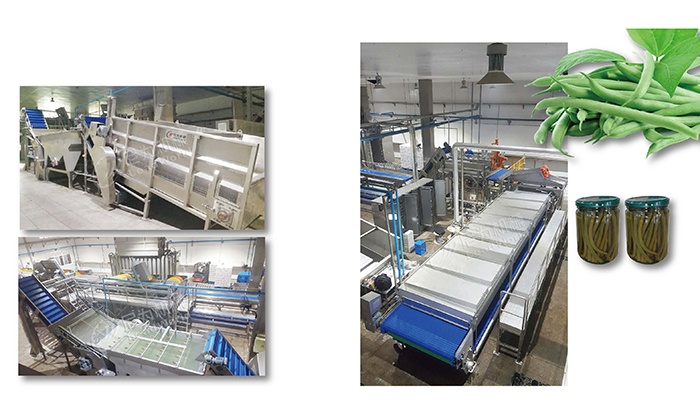刀豆罐頭生產(chǎn)線
